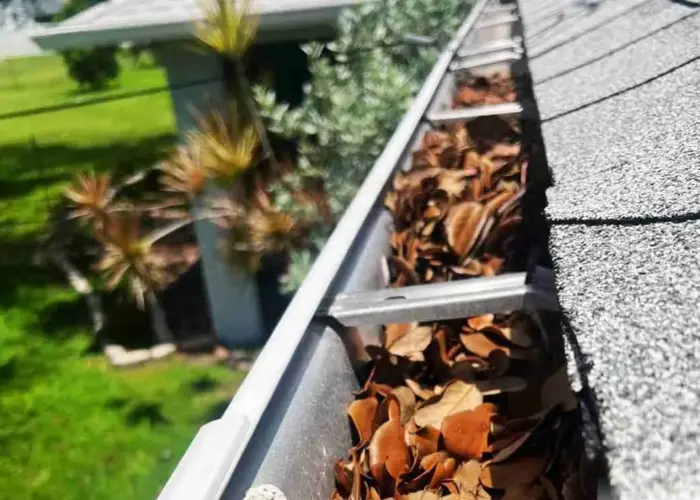 Catonsville gutter cleaning home page
